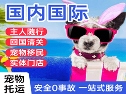 兴凯湖空运代理国际宠物托运 【国